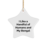 Bengal Cat Lovers' Christmas Unique Gift Ideas, Funny Quote, Star Ornament from Men to Family - Image 1